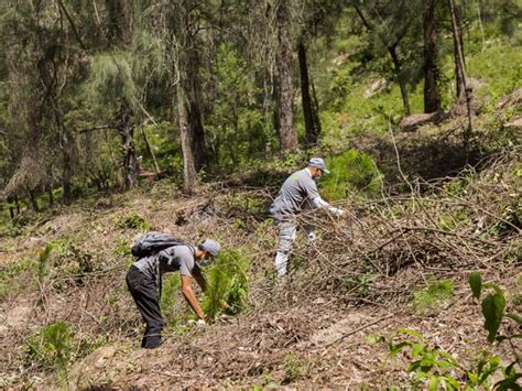 En Beneficio De 24 Millones De Personas Bcie Aprueba Programa Del Corredor Seco