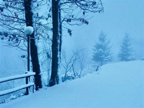 In Valbormida Arrivata La Prima Neve Del Gi I Centimetri Di