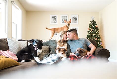 Dog Days of Christmas | Cupp Holiday Lifestyle Photos | DeLine Photography