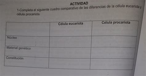 Completa El Siguiente Cuadro Comparativo De Las Diferencias De La Celula Eucariota Y Procariota