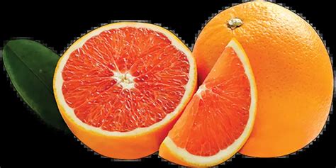 Top 20 Varieties Of Oranges You Must Know Crazy Masala Food