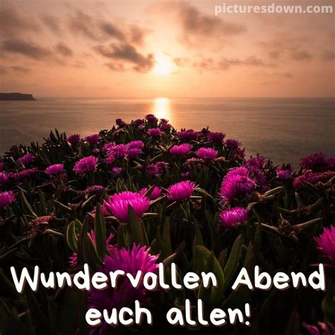 Herzlich Sonntag Abend Gr Sse Bild Blumen Kostenlos