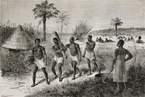 Slave Trade In Nigeria The True History Explained Oasdom