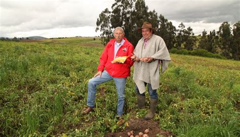 Proyectos Agrícolas En El Meta Recibieron 15488 Millones Para