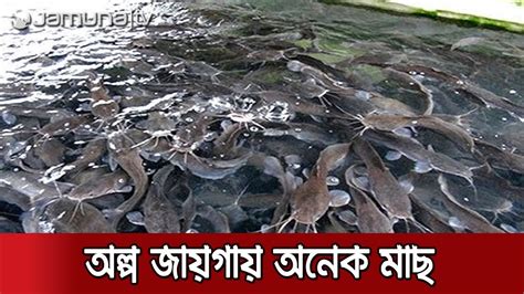 অল্প জায়গায় অধিক ঘনত্বে কম খরচে মাছ চাষ Biofloc Fish Farming Youtube