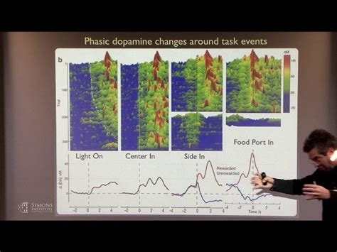 Free Video: Basal Ganglia Architecture for Reinforcement Learning from ...