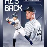 Aaron Judge Baseball Disp Bbs