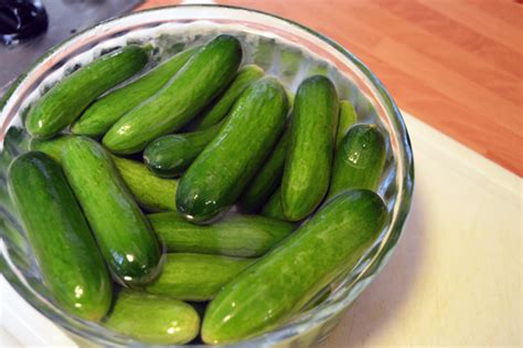 Recipe Easy Homemade Pickled Gherkins Sugar Darling