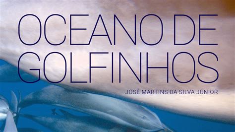 Oceano De Golfinhos Projeto Golfinho Rotador