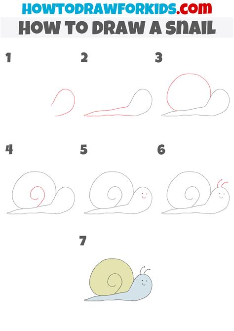 How To Draw Snail Step By Step