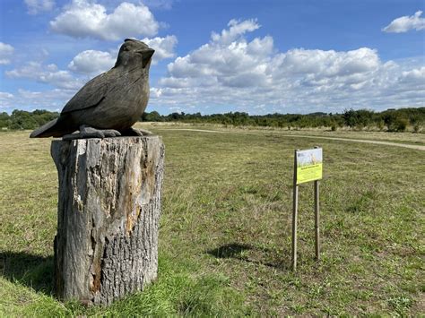 Wood Carving Trumpington Meadows Mr Ignavy Geograph Britain And