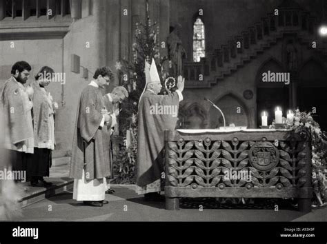 Un Cardinal Allemand De La Banque De Photographies Et Dimages Haute