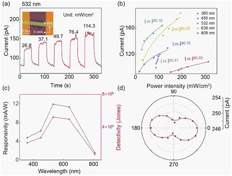 Polarization Sensitive Photodetector Based On Quasi D Zrse