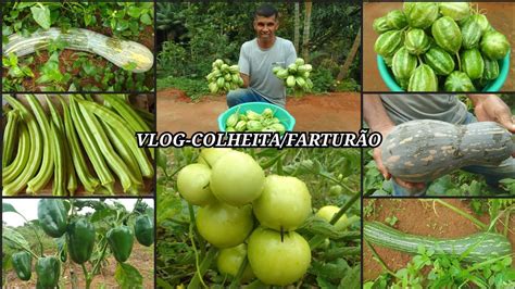 Vlog Mostramos Tudo Que Temos Plantado No S Tio No Quintal Horta