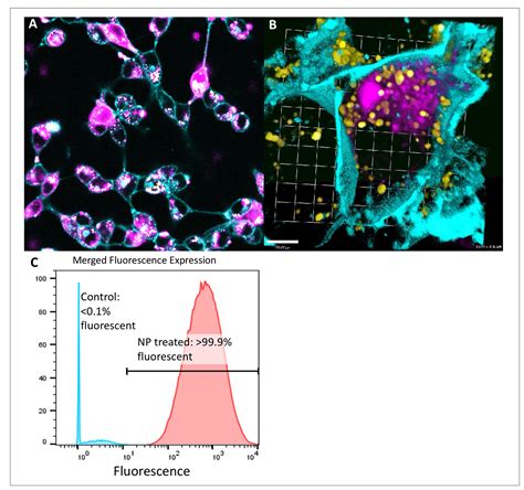 Precision Delivery Of Ras Inhibiting Sirna To Kras Driven Cancer Via