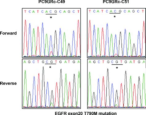 Direct Sequencing Chromatograms Of Egfr Exon 20 Showed A Difference In