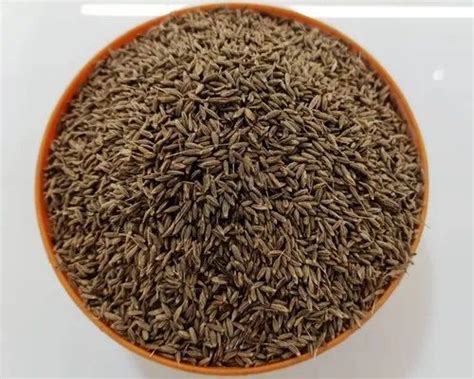 Brown Organic Cumin Seed Packaging Type Loose At Rs 252 Kg In Amreli