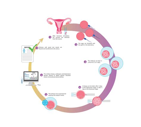 Blastocyst Transfer in Bhavnagar | Madhudeep IVF Center