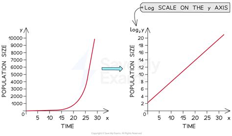 Population Growth Curves Skills HL IB Biology Revision Notes 2025