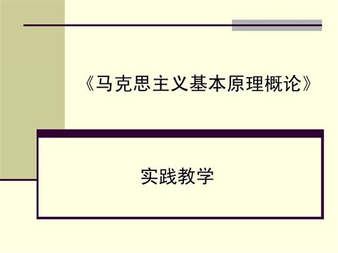 《马克思主义基本原理概论》实践教学2013级word文档在线阅读与下载无忧文档