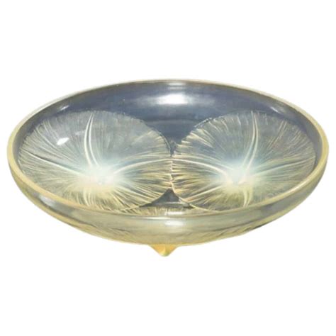 Ren Lalique Coupe Volubilis Opalescente Les