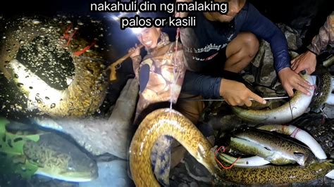 Ang Muling Pagbabalik Sa Isla Ng Kasili O Palos Nakadali Ng Malaki