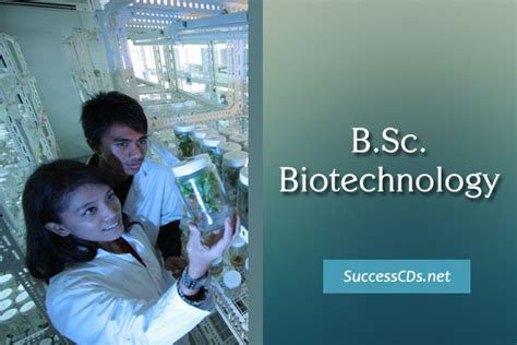 B Sc Biotechnology Career Scope Eligibility Syllabus And Top