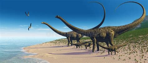 Diplodocus Dinosaur Full Skeleton Photo Realistc Rendering Perspective View Stock Illustration