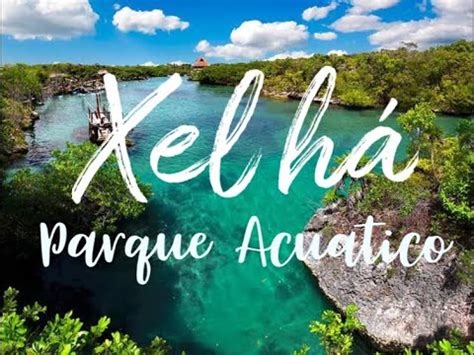 Xel Ha Un Oasis De Belleza Y Diversi N En La Riviera Maya Youtube