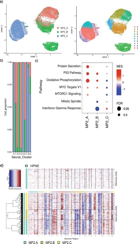 Custodial Variability Of MiaPaca2 Cell Lines Drives Transcriptomic