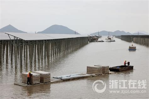 中核首个滩涂光伏项目年底并网发电