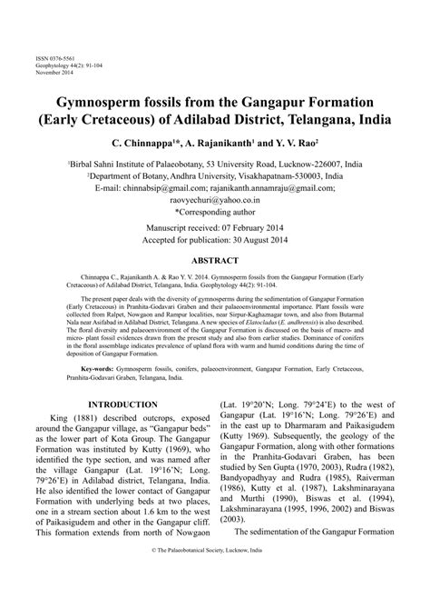 (PDF) GYMNOSPERM FOSSILS FROM THE GANGAPUR FORMATION (EARLY CRETACEOUS ...