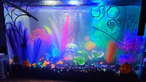 New tank setup! : r/glofish