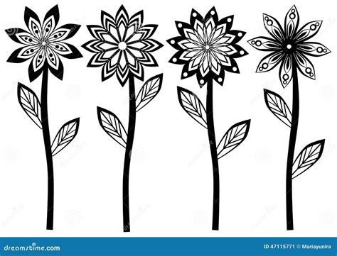 Black White Flowers Stock Vector Illustration Of Flowers 47115771