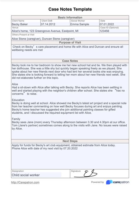 Case Notes Template & Example | Free PDF Download