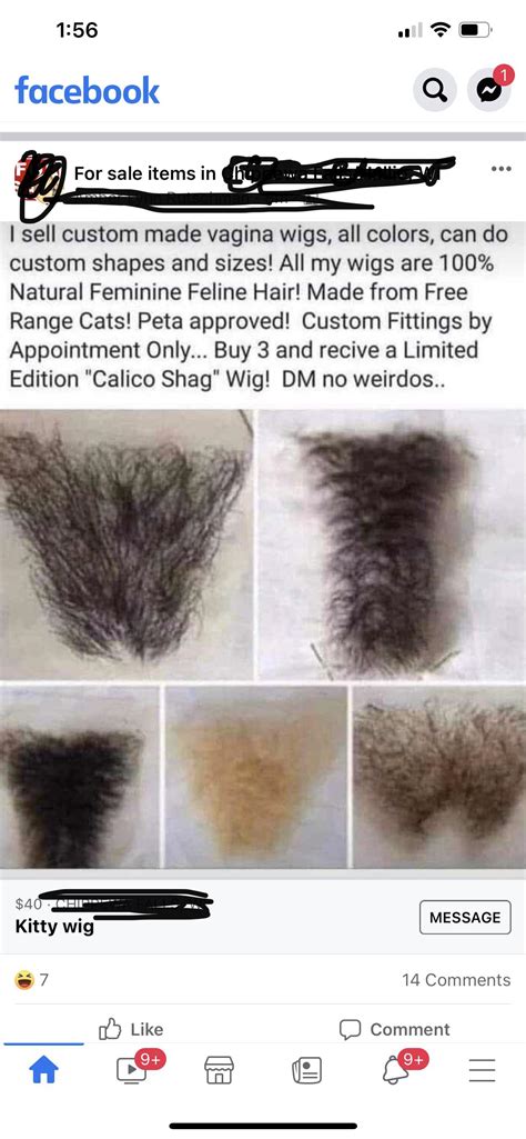 Vagina Wigs 40 Made From 100 Free Range Cats R Delusionalcraigslist