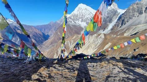 Kathmandu 7 Day Langtang Valley Trek GetYourGuide