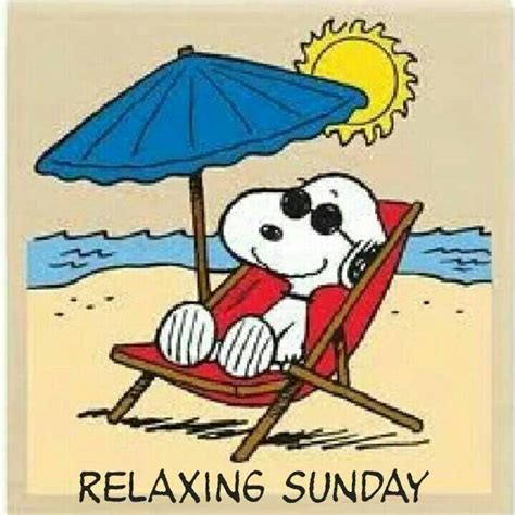 Pin By Liz Beans On SNOOPY One Of My Favorite Things Snoopy Cartoon