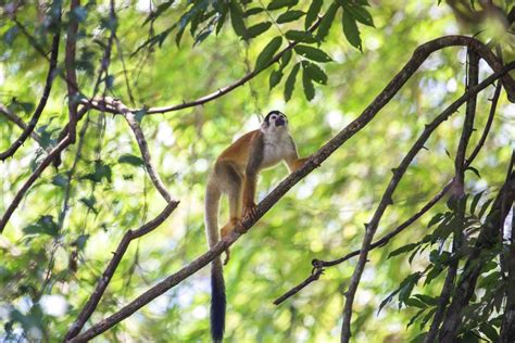 Pourquoi Le Costa Rica Est La Destination Famille Par Excellence