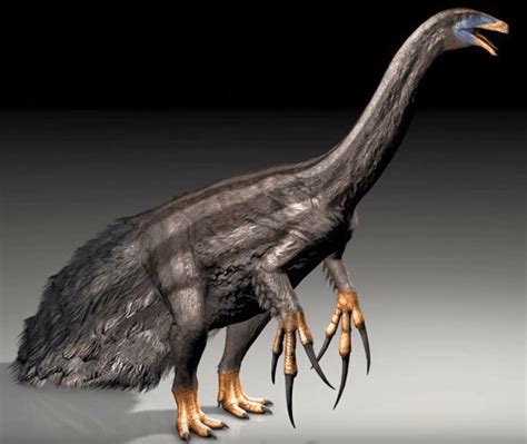 Therizinosaurus Fact Sheet Cswd