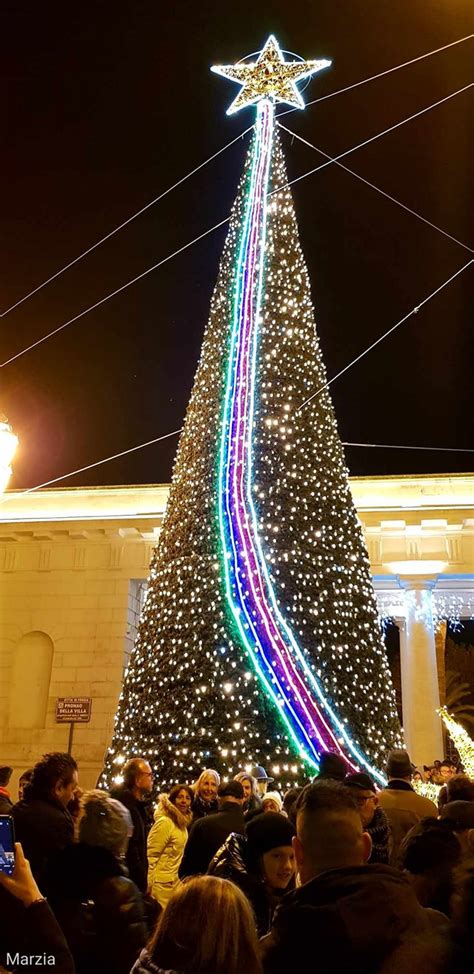 Foggia La Pro Loco Critica La Sindaca Per L Inaugurazione Dell Albero