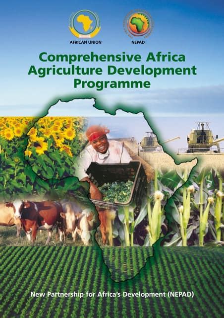 Comprehensive Africa Afgriculture Development Programme Caad Pdf