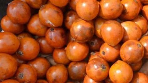 Amazing Benefits Of The African Star Apple Alasa