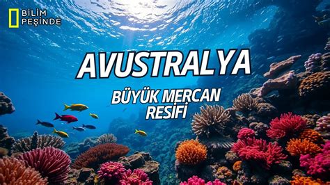 Avustralya Büyük Set Resifi: Dünyanın En Büyük Mercan Resifi | Belgesel