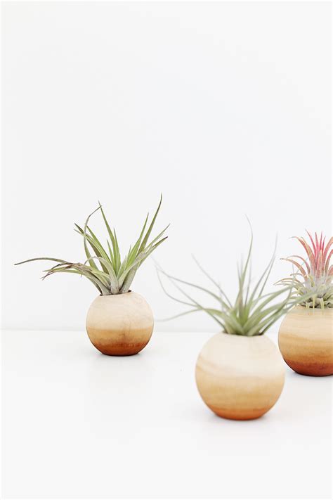 Diy Air Plant Pots Almost Makes Perfect