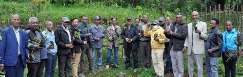 AAU Conducts Tree Planting Activity Near The Momentous Park Of The