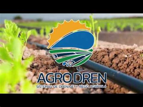 Somos Expertos en Drenaje Agrícola Parcelario YouTube