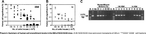 Figure 3 From A Highly Sensitive Strategy For SCID Repopulating Cell