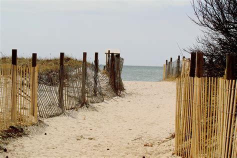 Seagull beach, Cape Cod, MA | Cape cod, Cape, Beach