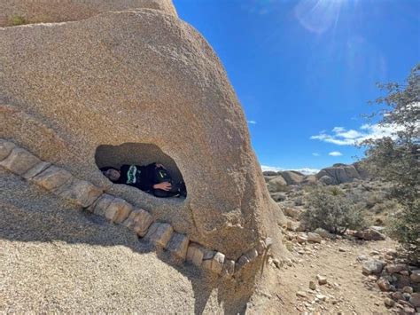 Joshua Tree Nationalpark Sch Nheit Der W Ste Kaliforniens